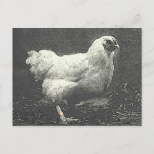 POULE POSTCARD