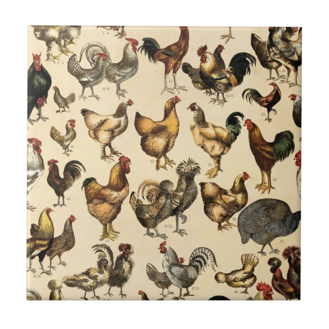 Poultry Farm Rooster and Hen Art Tile (Front)
