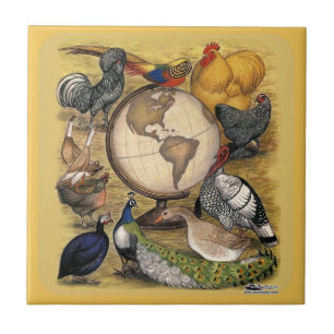 Poultry of the World Tile