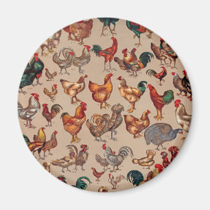 Poultry Rooster Chicken country vintage art Magnet