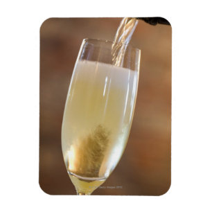 Pouring champagne magnet
