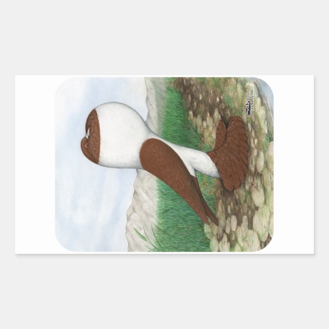 Pouter Pigeon Red Hana Rectangular Sticker (Front)