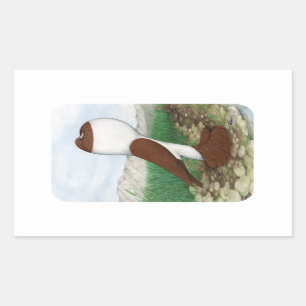Pouter Pigeon Red Hana Rectangular Sticker