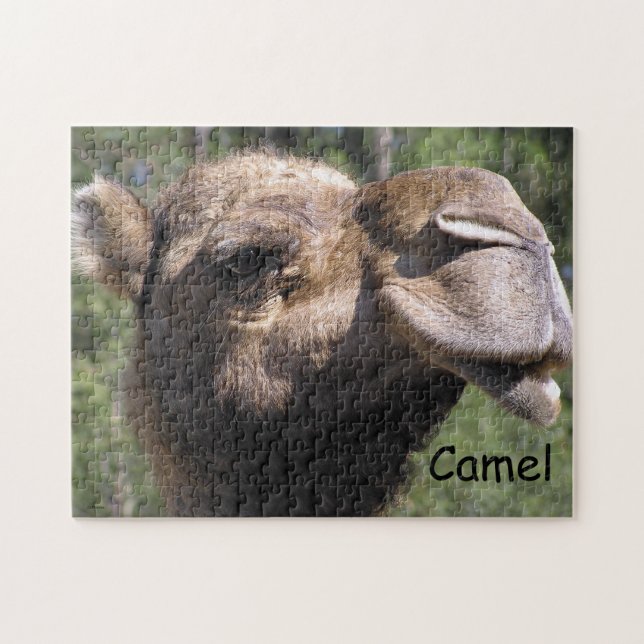 Pouting Camel Jigsaw Puzzle (Horizontal)