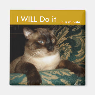 Pouty Siamese Cat Fridge Magnet