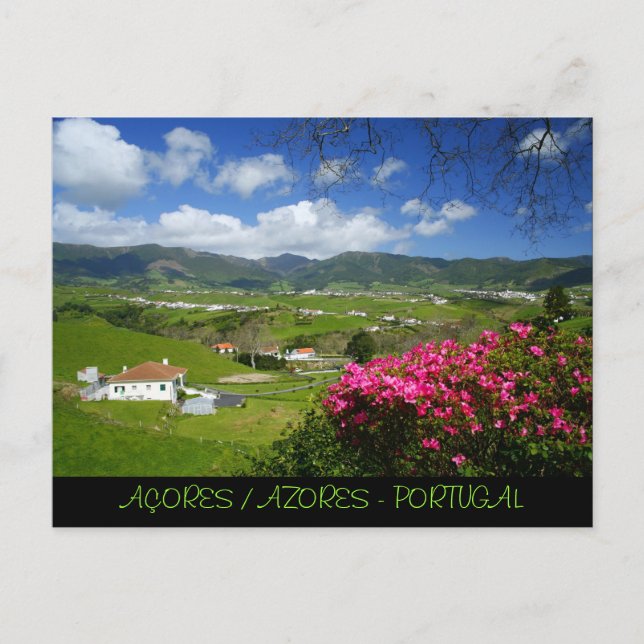 Povoação - Azores Postcard (Front)
