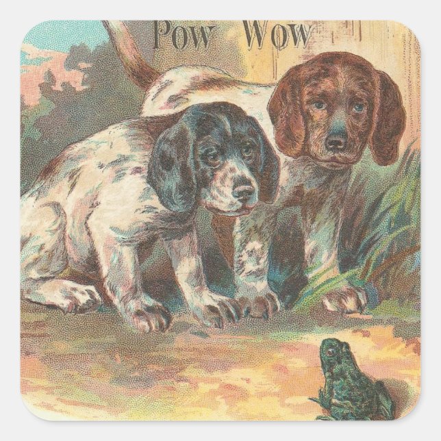 Pow Wow Square Sticker (Front)