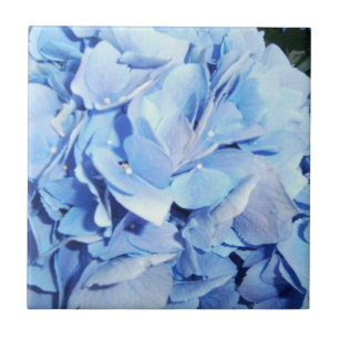 Powder Blue Hydrangea Tile