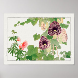 Powder puff tree, Calico flower by Tanigami Konan Poster