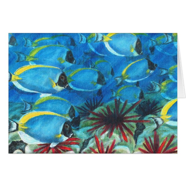 Powdered blue tangs (Front Horizontal)