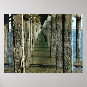 powderpoint bridge duxbury ma. poster