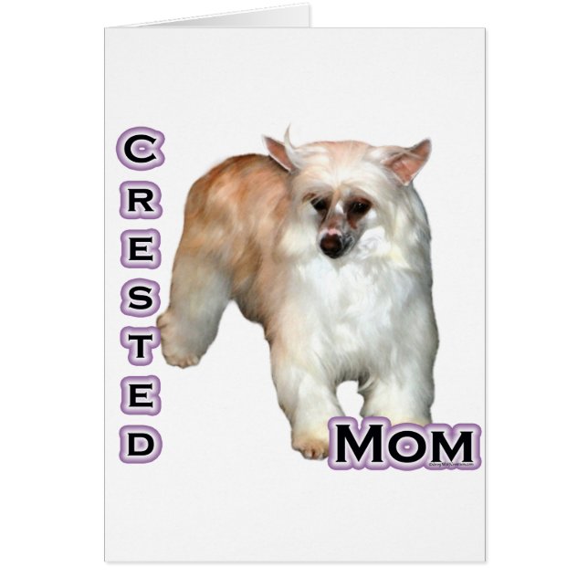 Powderpuff Crested Mum 4 (Front)