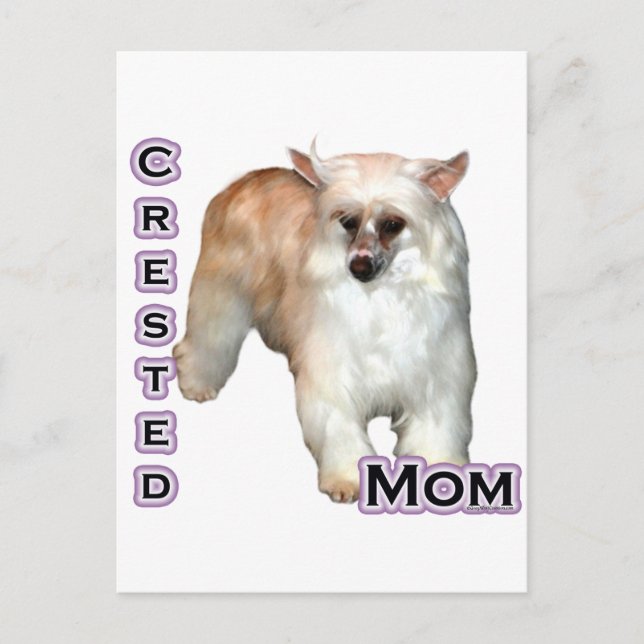 Powderpuff Crested Mum 4 Postcard (Front)