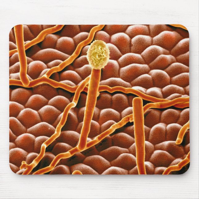 Powdery Mildew Fungus on Poinsettia Mouse Mat (Front)