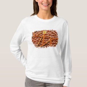 Powdery Mildew Fungus on Poinsettia T-Shirt