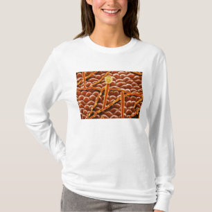 Powdery Mildew Fungus on Poinsettia T-Shirt