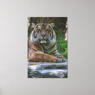 Power Canvas Print