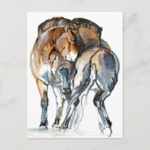 Power Dance Postcard