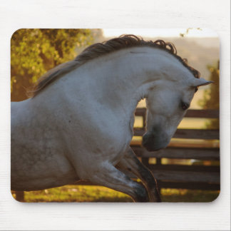 Power Of An Andalusian Mare Mouse Mat