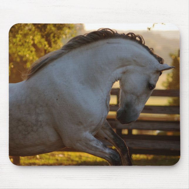 Power Of An Andalusian Mare Mouse Mat (Front)