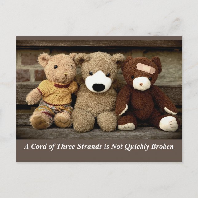 Power of Friendship Ecclesiastes 4:12 Postcard (Front)