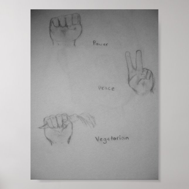 Power, Peace, Vegetarian Original Artwork Poster (Front)