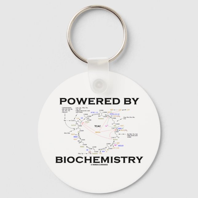 Powered By Biochemistry (Krebs Cycle) Key Ring (Front)