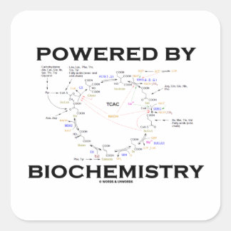 Powered By Biochemistry (Krebs Cycle) Square Sticker