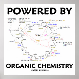Powered By Organic Chemistry Krebs Cycle Humour Poster