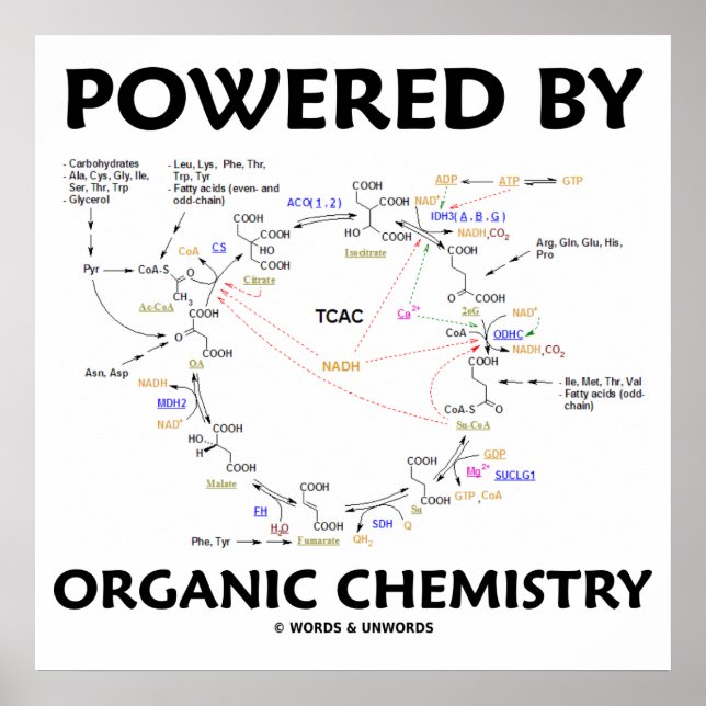 Powered By Organic Chemistry Krebs Cycle Humour Poster (Front)