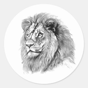Powerful Lion Portrait Classic Round Sticker