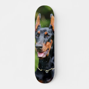 Powerful, Powerful Skating Dog Dóberman Skateboard