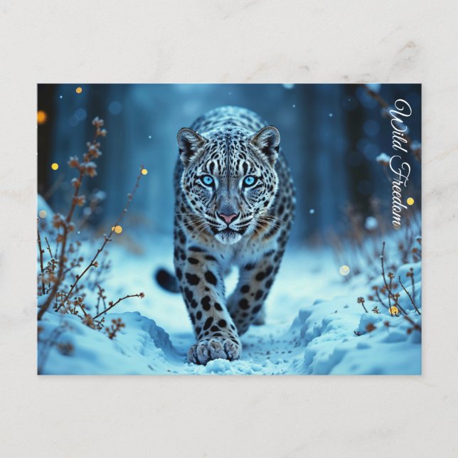 Powerful predator snowy wilderness cold beauty postcard (Front)