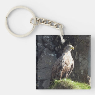 Powerful White Tailed Eagle Ocean Cliff Habitat Key Ring
