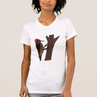 Powerful Woodpecker