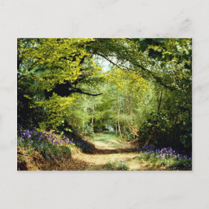Powerhill Woodlands Battle, East Sussex, England E Postcard
