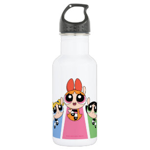 Powerpuff Girls Fly High 532 Ml Water Bottle