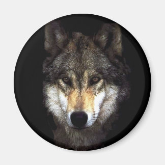 powerwolf magnet
