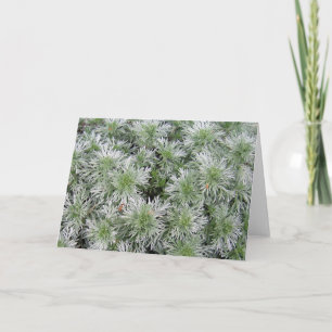 Powis Castle Artemisia Card