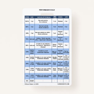 PPS / KPS Badge Buddy for Hospice Nurses ID Badge
