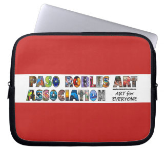 PRAA charger accessory case