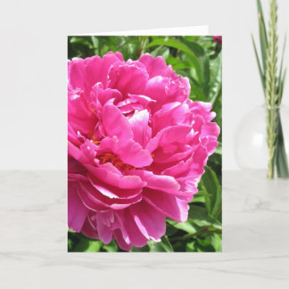 Practically Perfect Peony Card