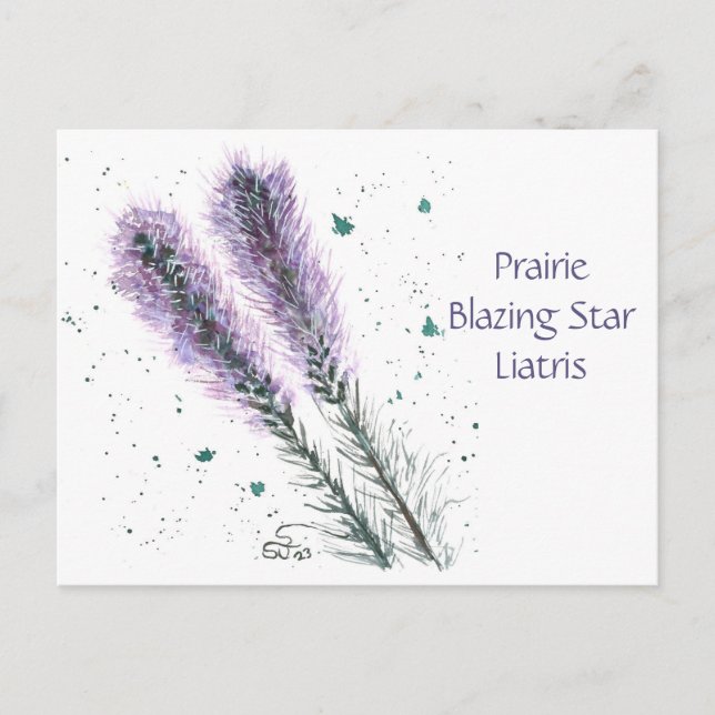Prairie Blazing Star Post Card  (Front)