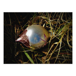 "Prairie Cheer" Photo Print