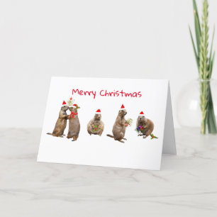 Prairie Christmas Holiday Card