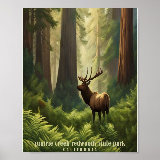 prairie creek redwoods state park poster (Front)