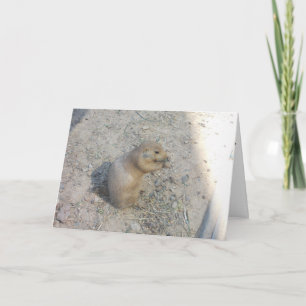 "Prairie Dog #2" Thank You Card