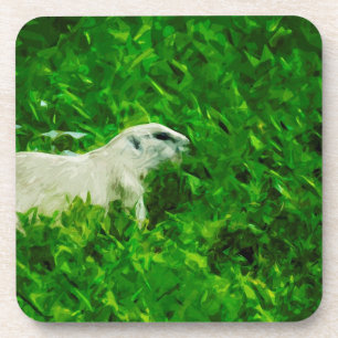 Prairie Dog Abstract Impressionism Coaster
