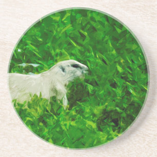 Prairie Dog Abstract Impressionism Coaster
