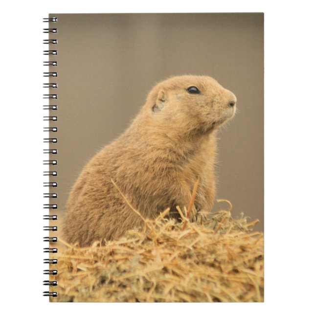 Prairie Dog Aint I Cute Notebook (Front)